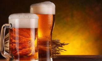 国产啤酒兴衰史图解视频,从辉煌到崛起的蜕变之路