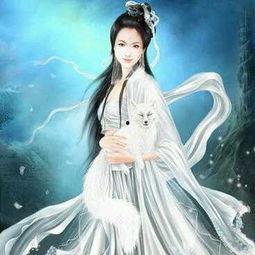 狐狸精在线播放视频国产,网络文化的新现象